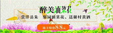 油菜花节日海报