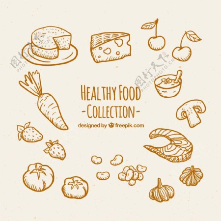 手绘健康食品收藏
