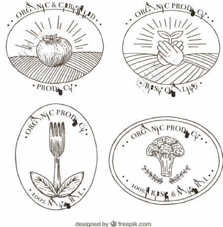 四个手绘有机食品贴纸图标