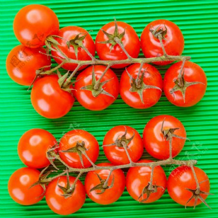 两串新鲜的西红柿图片