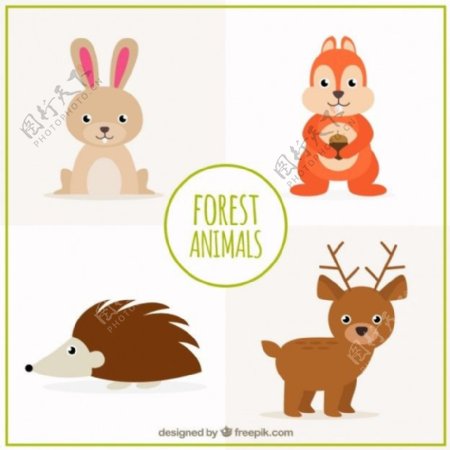 手工绘制可爱的森林动物收藏