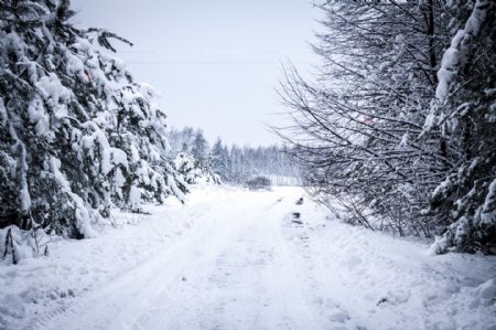 道路雪景摄影图片
