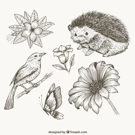 画可爱的动物和花