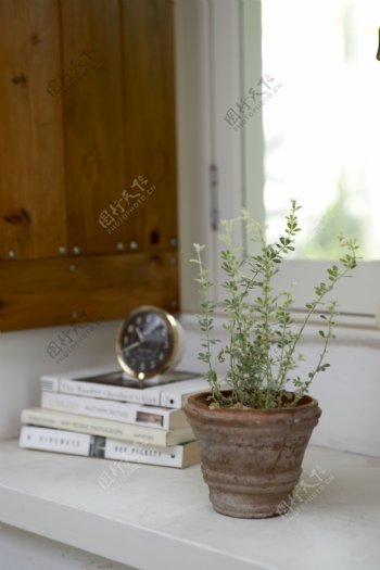 窗台上的花盆素材图片