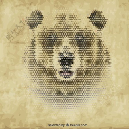 创意棕熊头像矢量素材图片