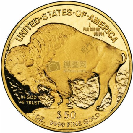 黄金硬币上的公牛
