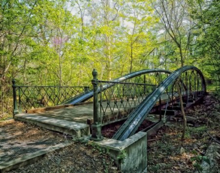 森林里的小铁桥
