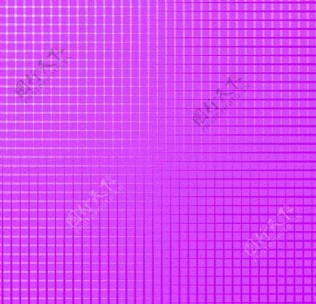 紫色格子
