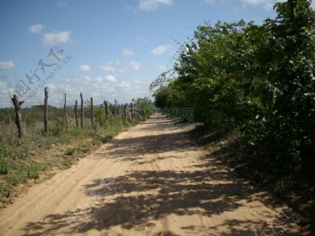 巴西乡下的泥径路段