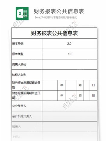 财务报表公共信息表excel表格模板