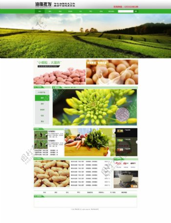 花生豆类油脂食品网站首页设计