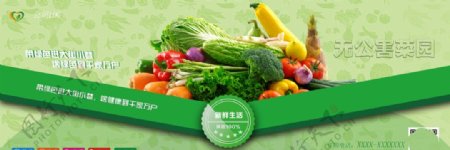 无公害蔬菜PSD宣传海报
