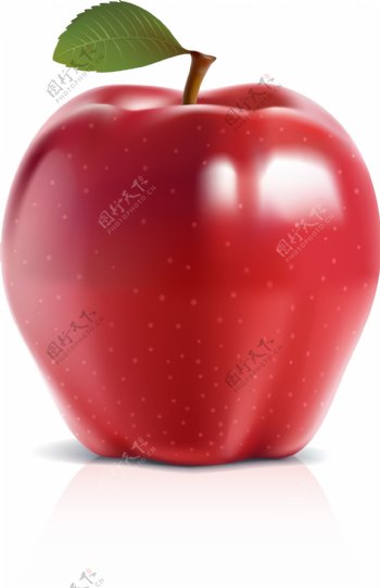 红苹果矢量素材
