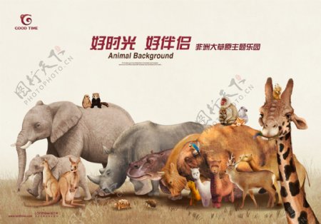 动物海报模板
