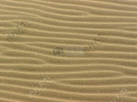 沙滩上的纹理