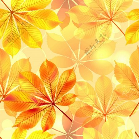 秋季黄色叶子无缝背景图
