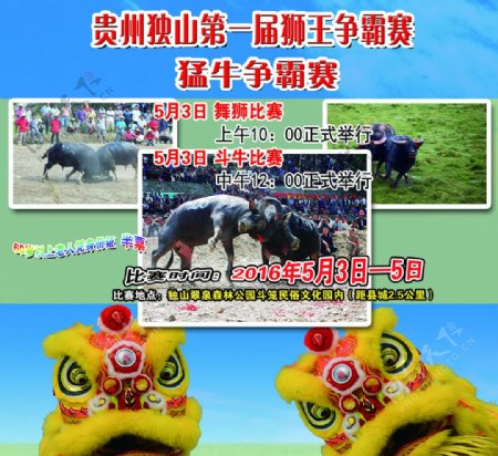 贵州独山第一届狮王猛牛争霸赛