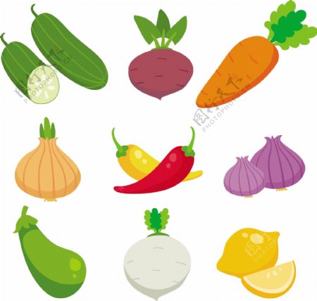 彩色蔬菜集合