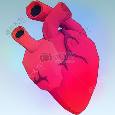 人体心脏动画形象图