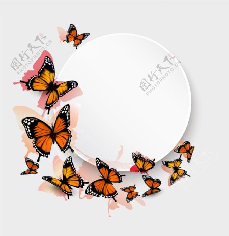 美丽的蝴蝶与情人节矢量素材模板