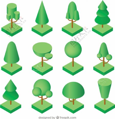 等距设计中的树类型