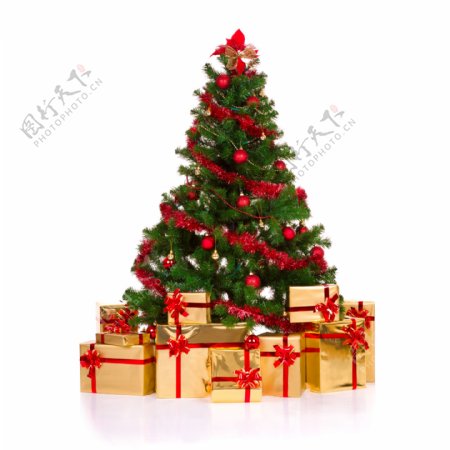 圣诞礼物与圣诞树素材