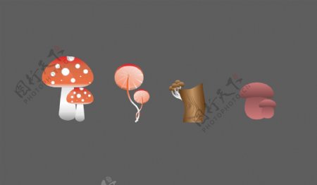矢量蘑菇设计