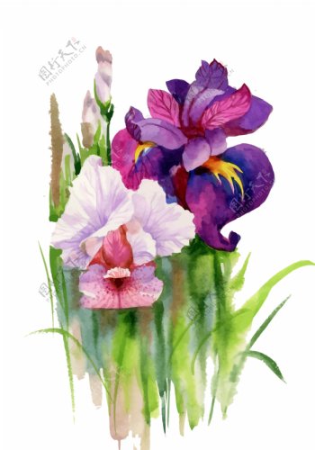 紫色粉色花束植物花朵水彩手绘矢量文件