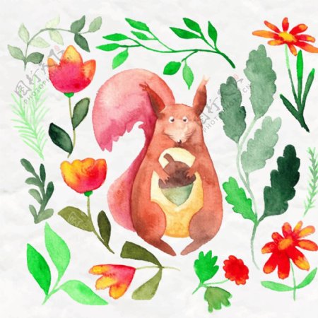 水彩松鼠花和叶图片