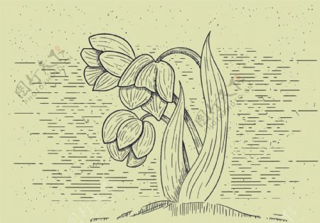 手绘时尚花卉插画