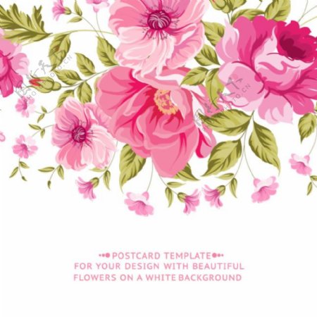 粉色花卉卡片矢量素材