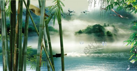 竹子湖面仙鹤