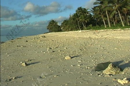 拉罗汤加岛的沙滩视频免费下载