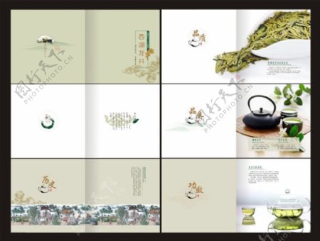 龙井茶画册设计矢量素材