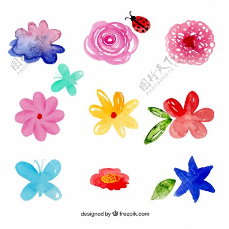 水彩绘花朵矢量素材图片