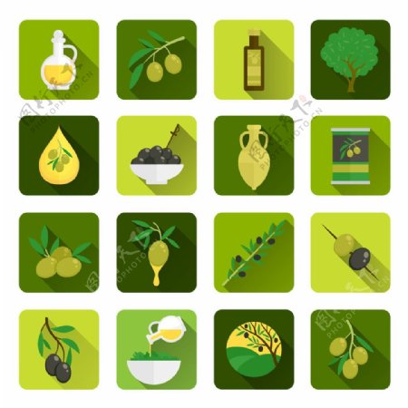 绿色橄榄油图标图片