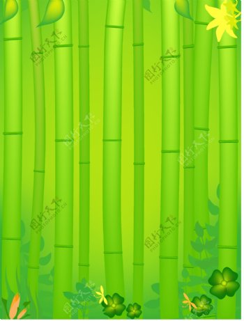 盆栽竹