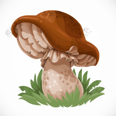 小草上的蘑菇设计