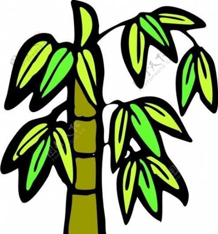 竹子植物图案矢量AI0005