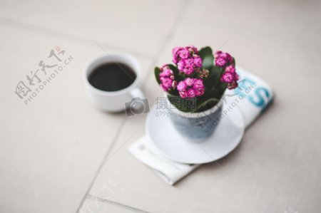咖啡与花朵