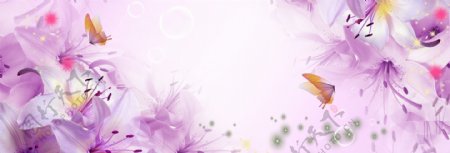浅紫色花朵banner背景