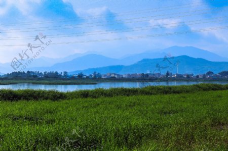广东惠州潼湖湿地风景