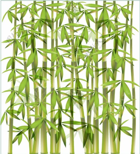 绿色竹子竹叶矢量图