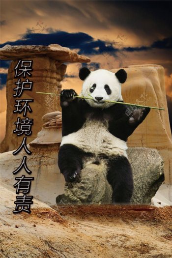 环保熊猫环保海报