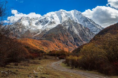 西藏亚拉雪山风景
