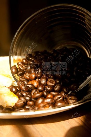 大又圆的咖啡豆