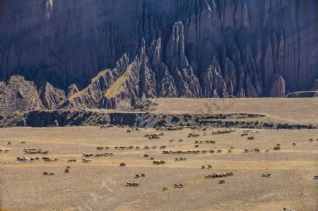 新疆安集海大峡谷风景