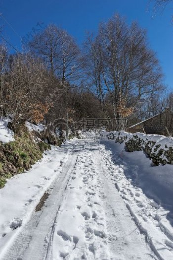 道路覆盖的积雪