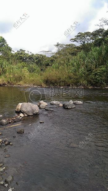 自然水河哥斯达黎加哥斯达黎加香格里拉财神