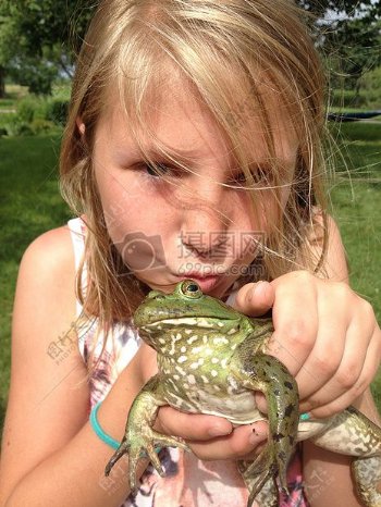女孩亲吻亲吻农场青蛙